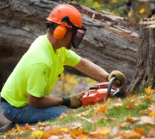 tree services Amanda